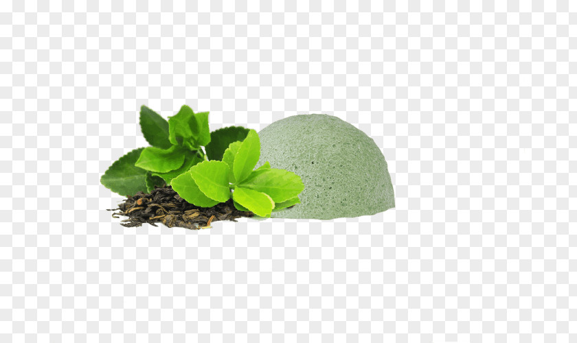 Mini Tea Bag Tags Green Unilever Lipton Variety Pack Amino Acid Dietary Supplement PNG