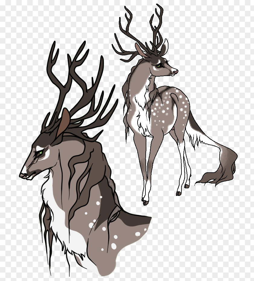 Royal Stag Reindeer Elk Horse Antler PNG