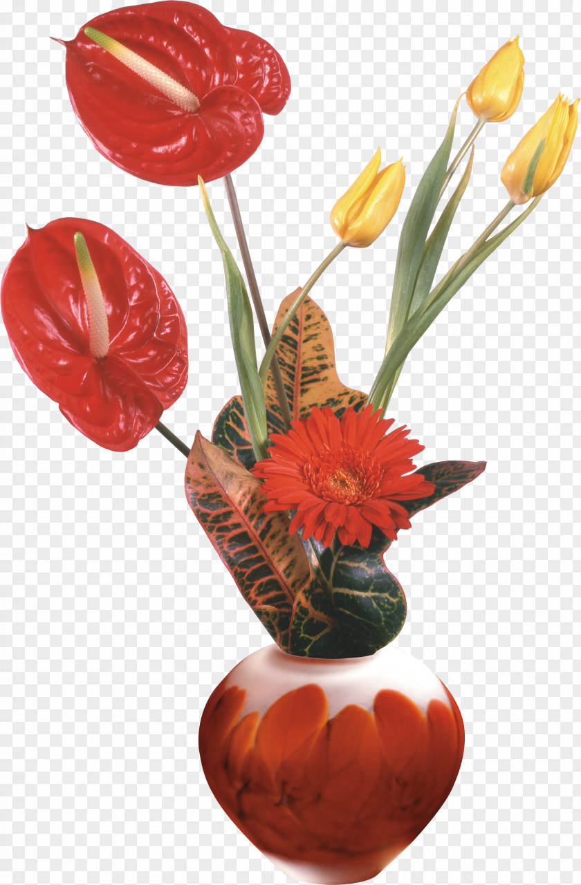 Tulip Flower Bouquet Cut Flowers PNG