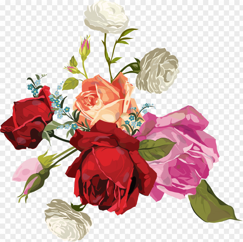 Flower Garden Roses Centifolia Bouquet Clip Art PNG