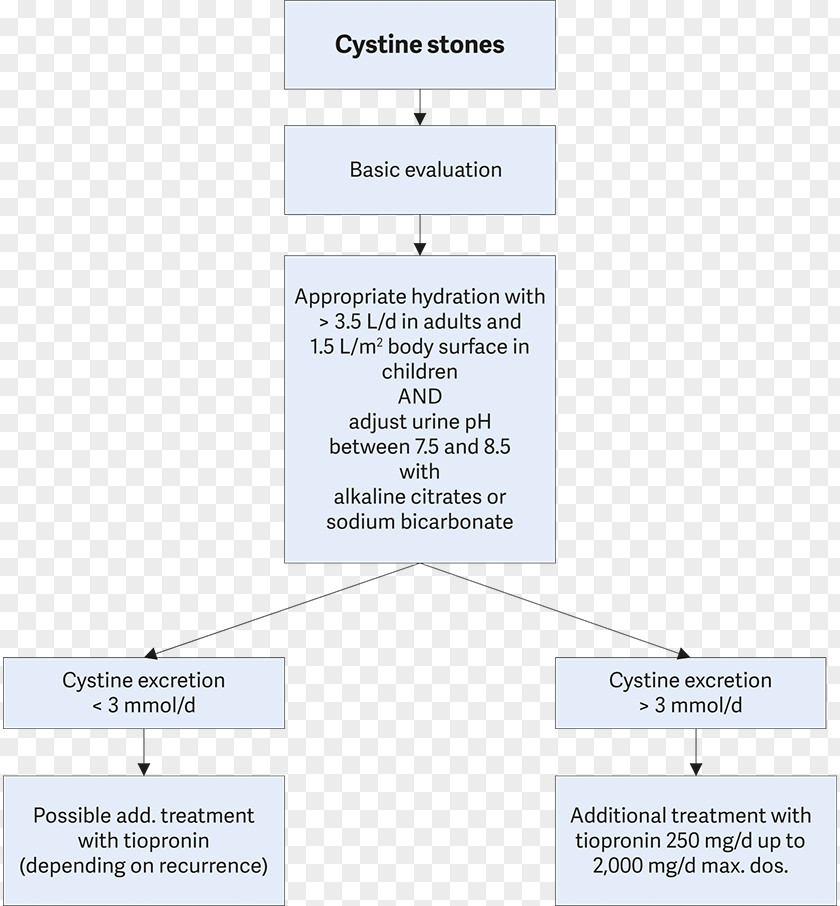 Line Document Angle Organization Brand PNG