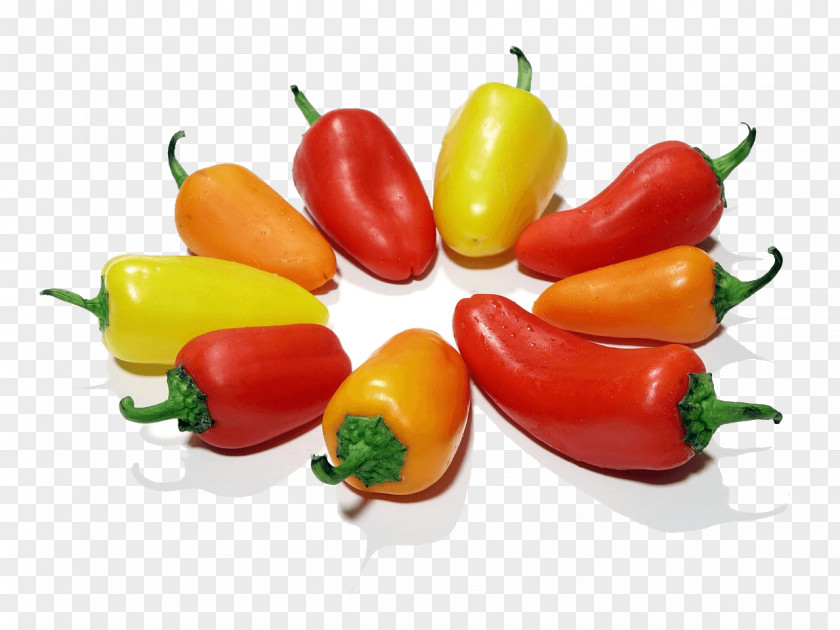 Orange Bell Pepper Chili Food Vegetable PNG