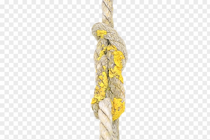 Yellow Jewellery PNG