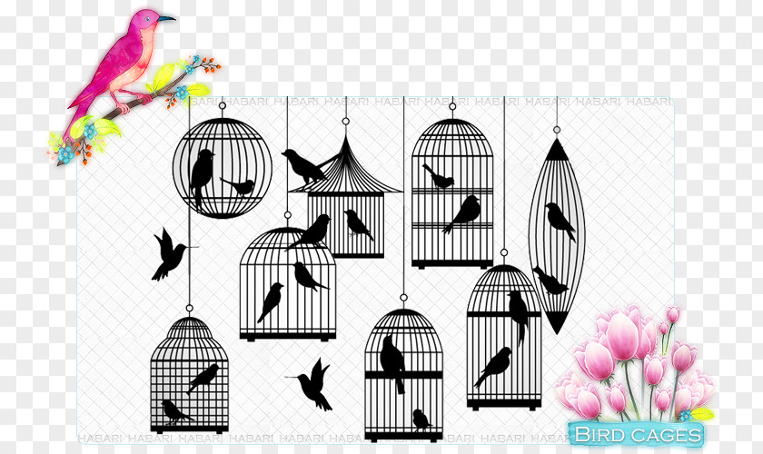 Bird Birdcage Silhouette PNG