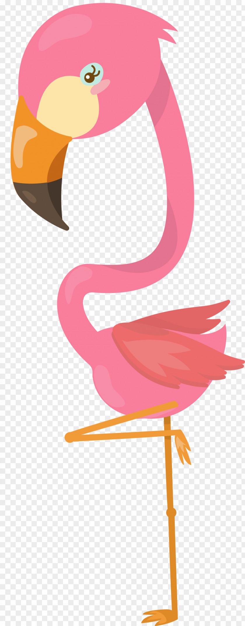 Flamingo Flamingos Water Bird Beak PNG