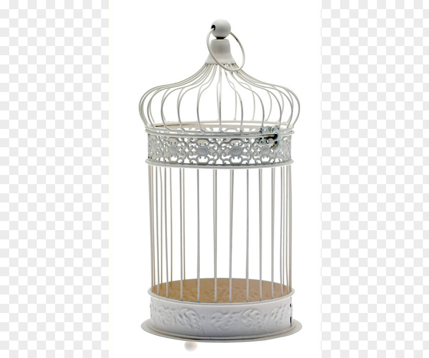 Lantern Centrepiece Birdcage Domestic Canary Wedding PNG