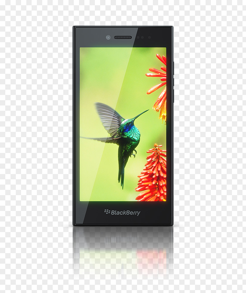 Large Screen Phone BlackBerry Passport Z10 Q10 Torch 9800 Q5 PNG
