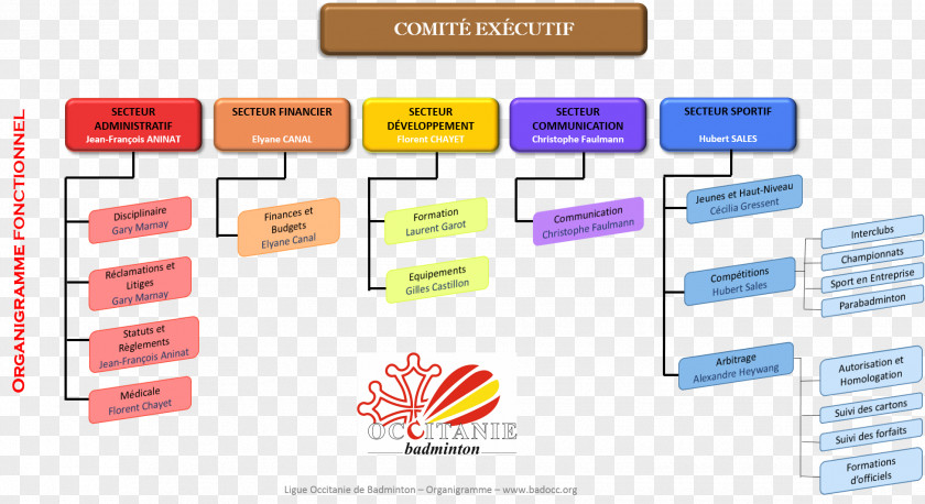Organizational Chart Flowchart Languedoc-Roussillon-Midi-Pyrénées Badminton Table PNG