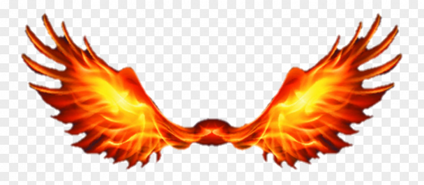 Phoenix Wright Transparent Flame Fire Light Combustion PNG