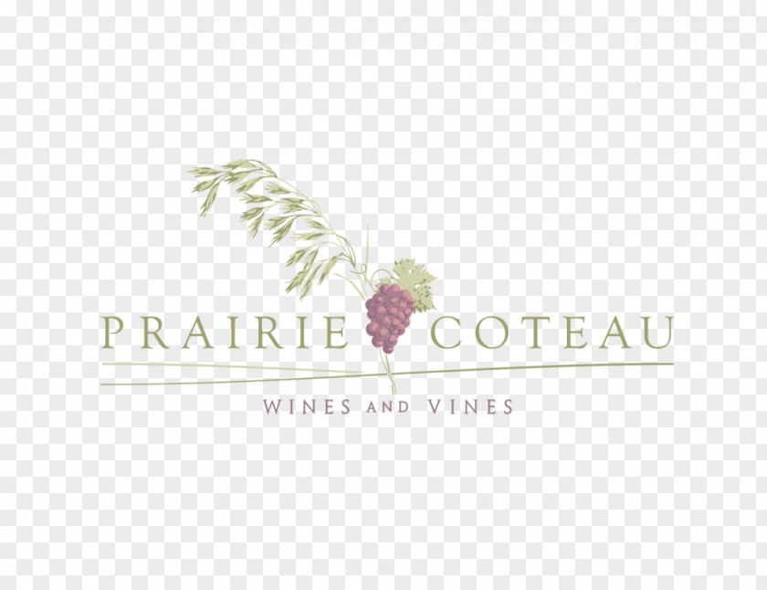 Wine Common Grape Vine Logo Brand Bottle PNG