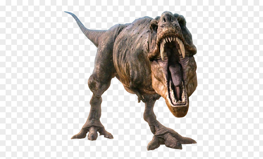 Animals Tyrannosaurus Velociraptor Dinosaur PNG