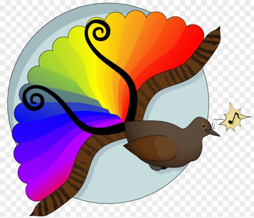 Butterfly Illustration Insect Clip Art Beak PNG