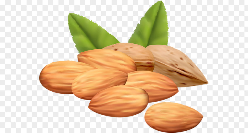 Fruit Sec Mixed Nuts Almond Clip Art PNG