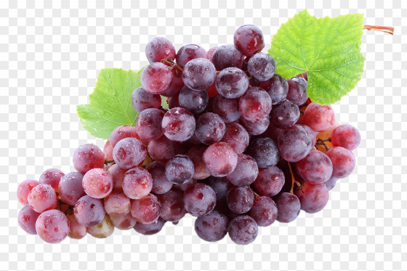 Grapes Wine Fruit Common Grape Vine Christmas Cake PNG