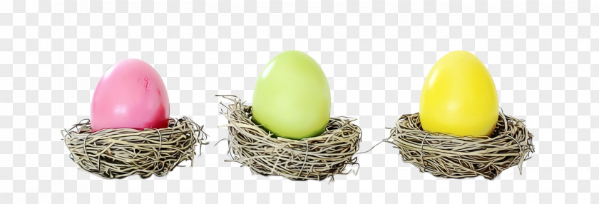 Nest Plant Easter Egg PNG