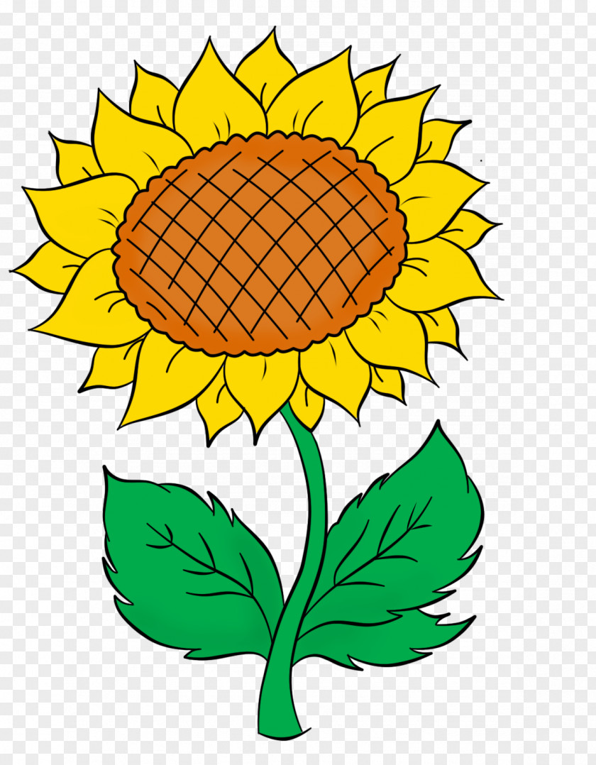 Cartoon Sunflower Leaves Common Halva Seed Honey Yandex PNG
