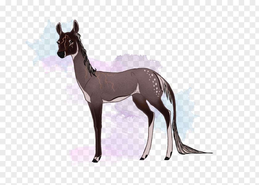 Fawn Horse Dog Mammal Animal Deer PNG