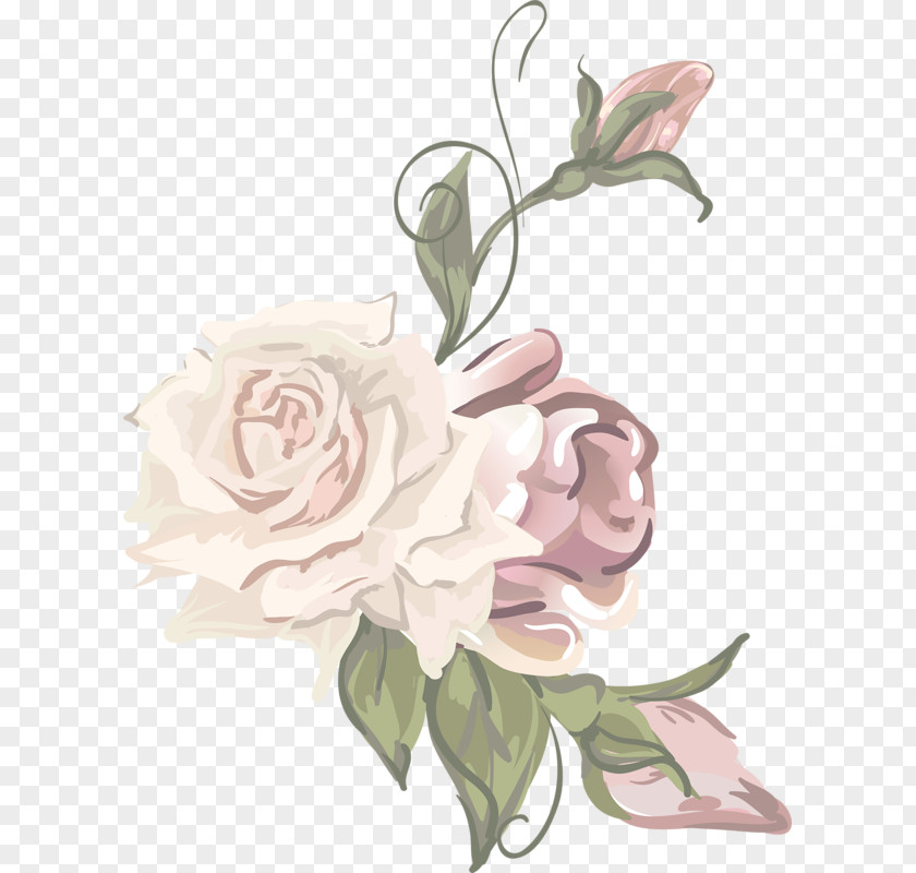 Flower Garden Roses Centifolia Floral Design Cut Flowers Bouquet PNG