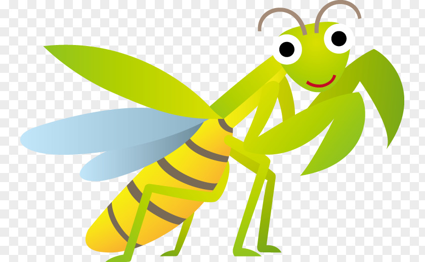 Insect Mantis Clip Art PNG
