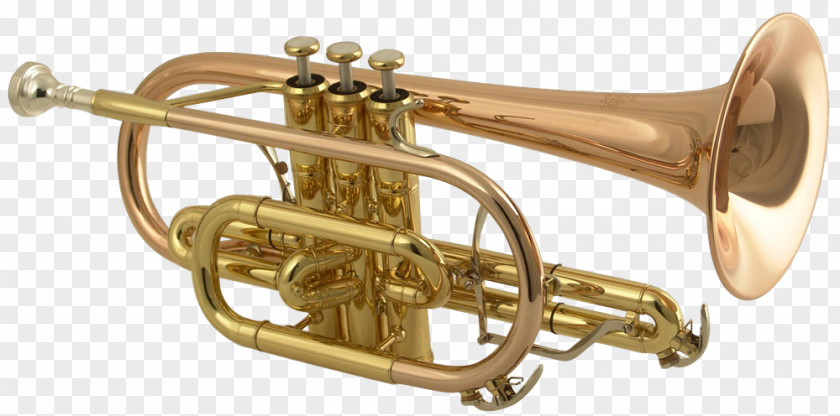 Musical Instruments Brass Aerophone Cornet Wind Instrument PNG