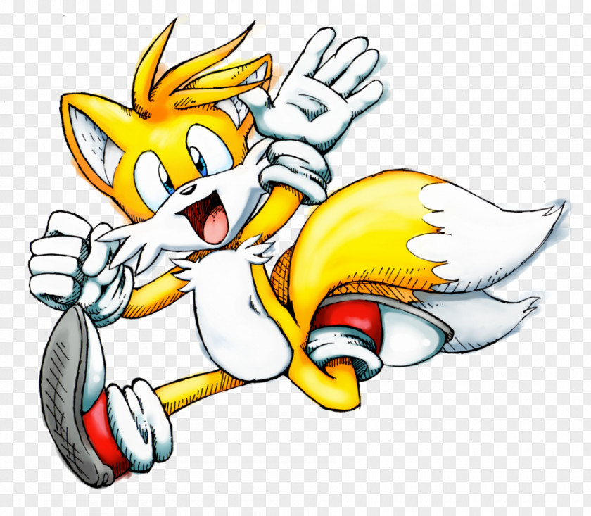 Tails Prower Sonic & Knuckles The Echidna Animated Cartoon Image PNG