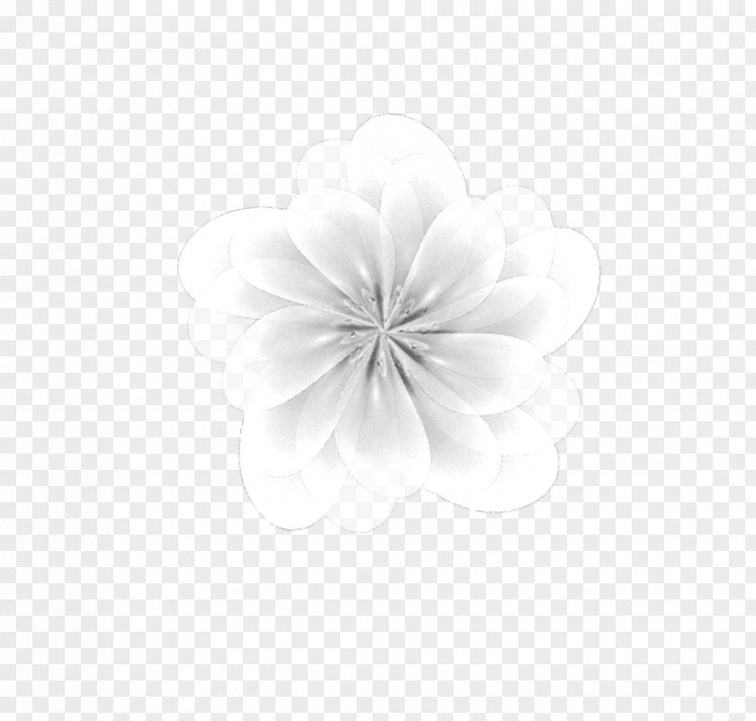 White Flower Petal PNG