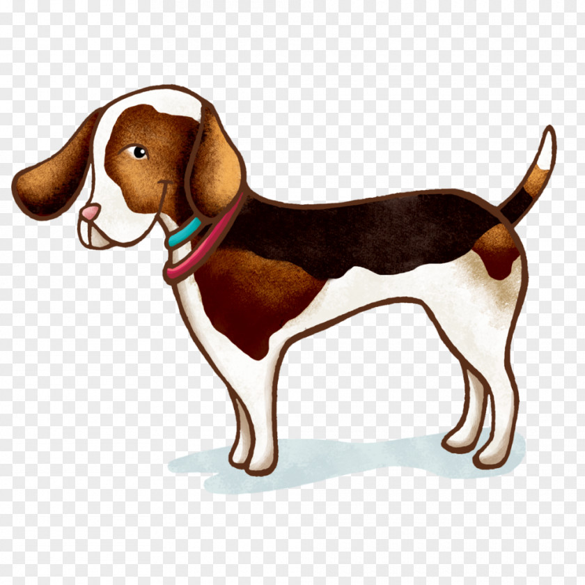 Beagle Paws Treeing Walker Coonhound English Foxhound American Harrier PNG