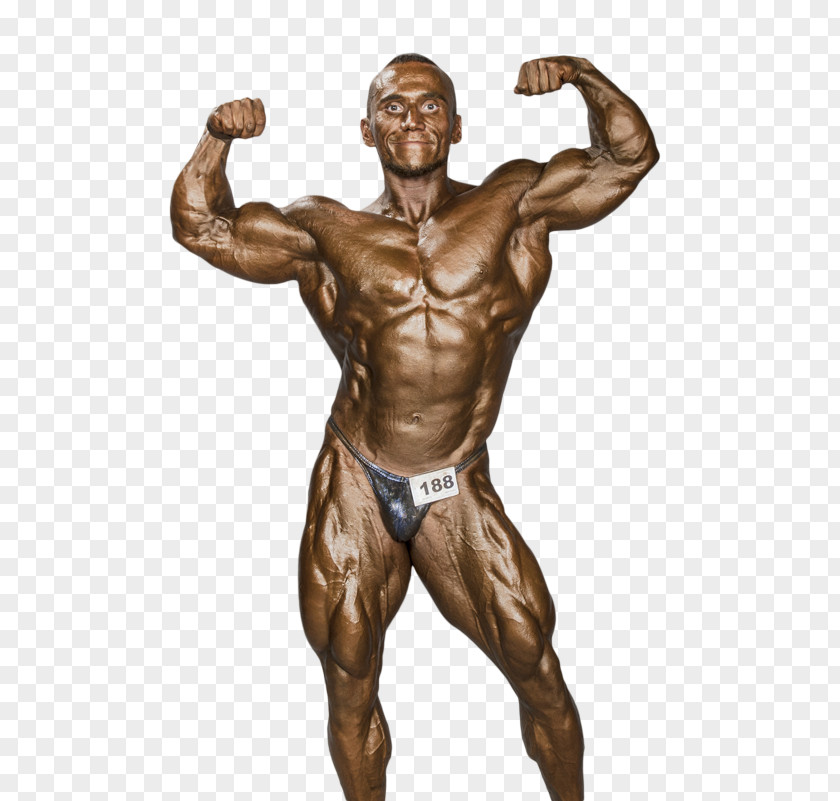 Bodybuilding Malaysia Muscle Man Arm PNG