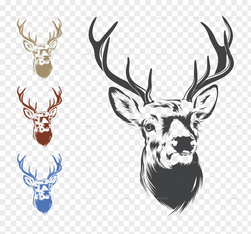 Deer Head Image Drawing Clip Art PNG