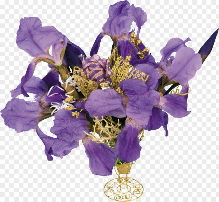 Flayer Irises Flower Clip Art PNG
