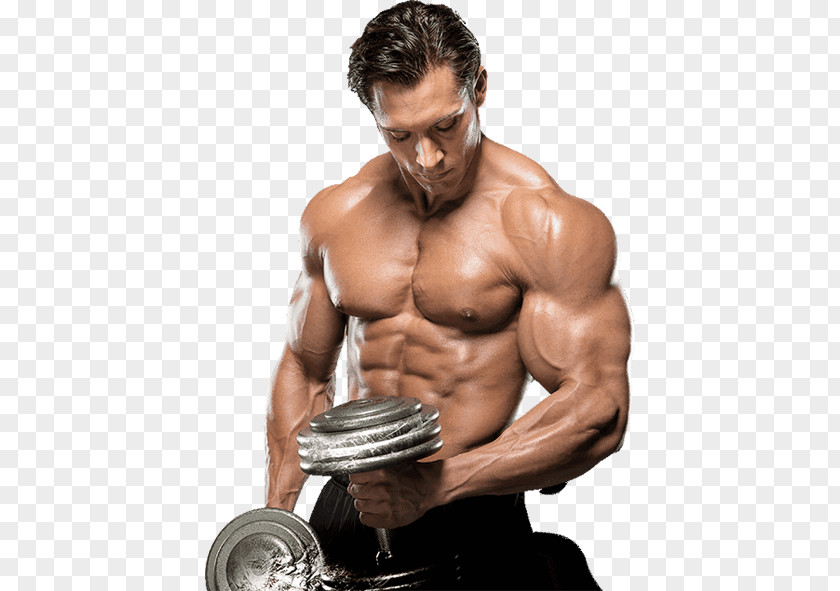 Health Dietary Supplement Bodybuilding Creatine Exercise PNG