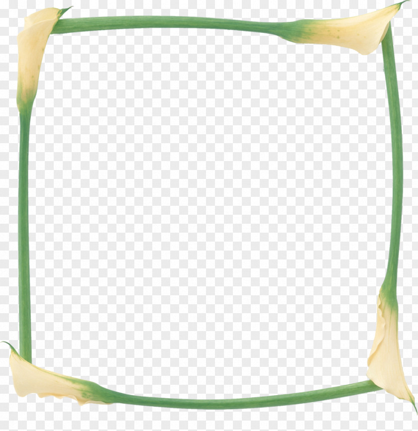 Lily Photography Picture Frames PNG