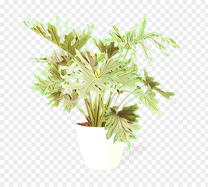 Pine Family Flower Plant Branch Tree Grass PNG