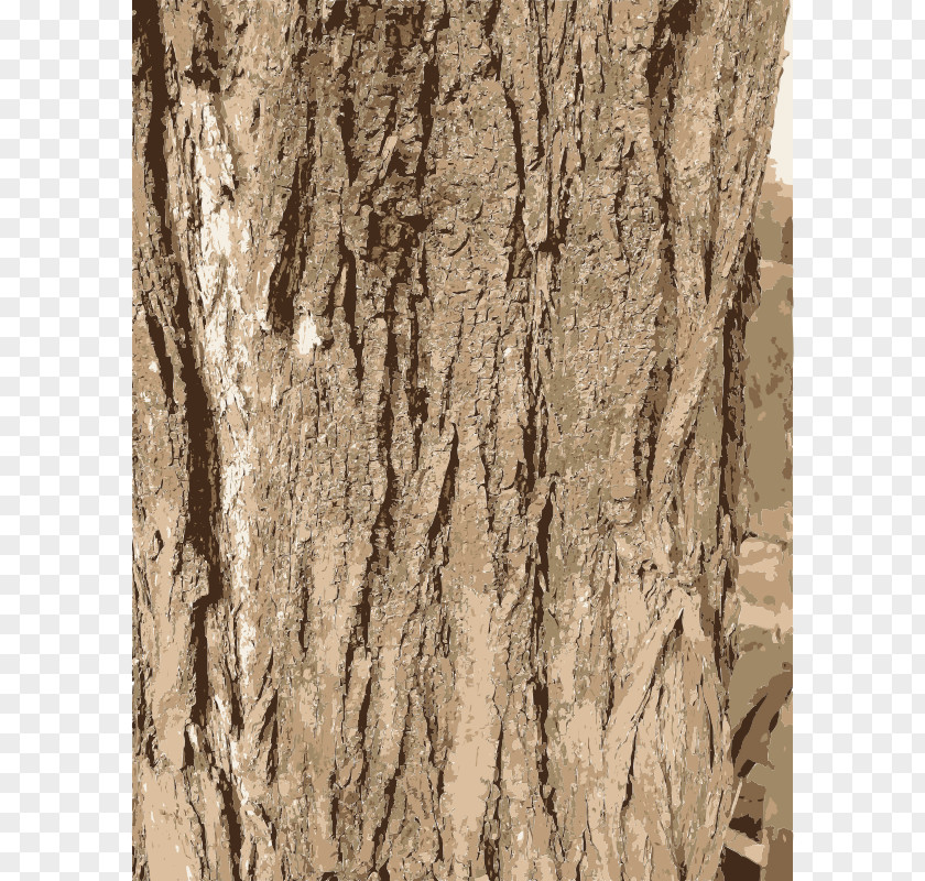 Bark Cliparts Art Tree Clip PNG