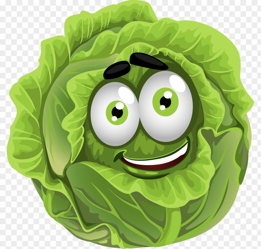 Cartoon Cabbage Vegetable Fruit Clip Art PNG