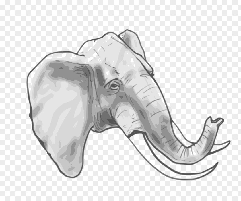 Circus Elephant African Indian Elephantidae Clip Art PNG