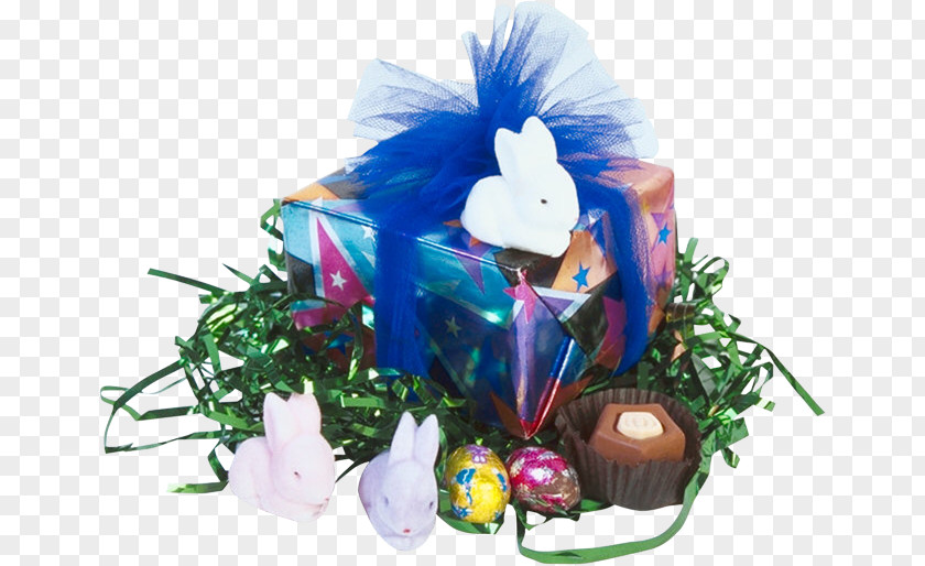 Easter Bunny Egg PNG