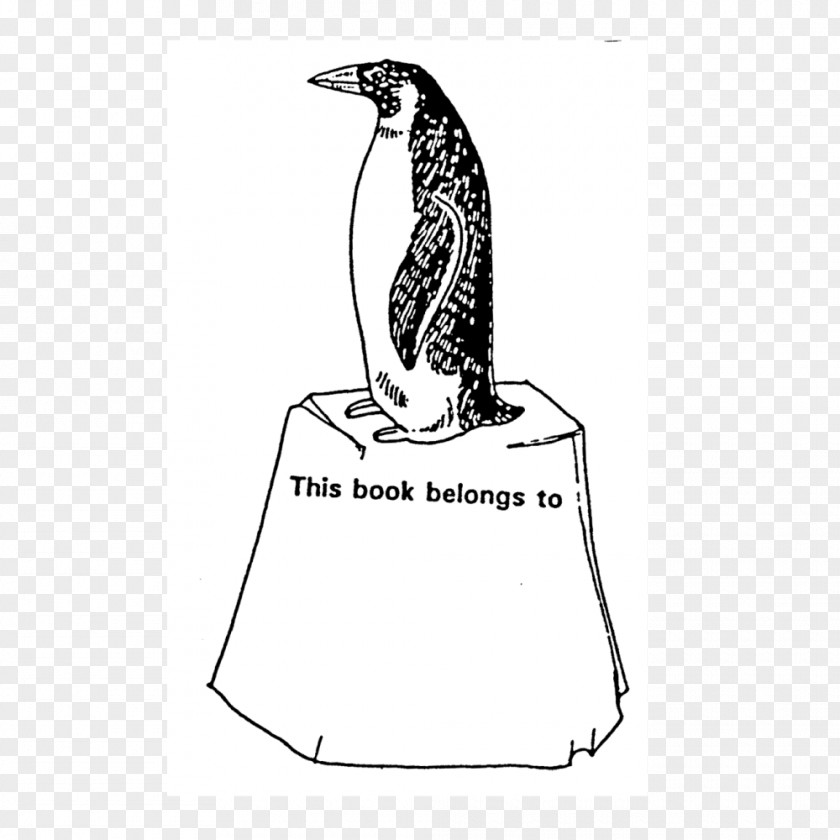 Penguin Flightless Bird PNG