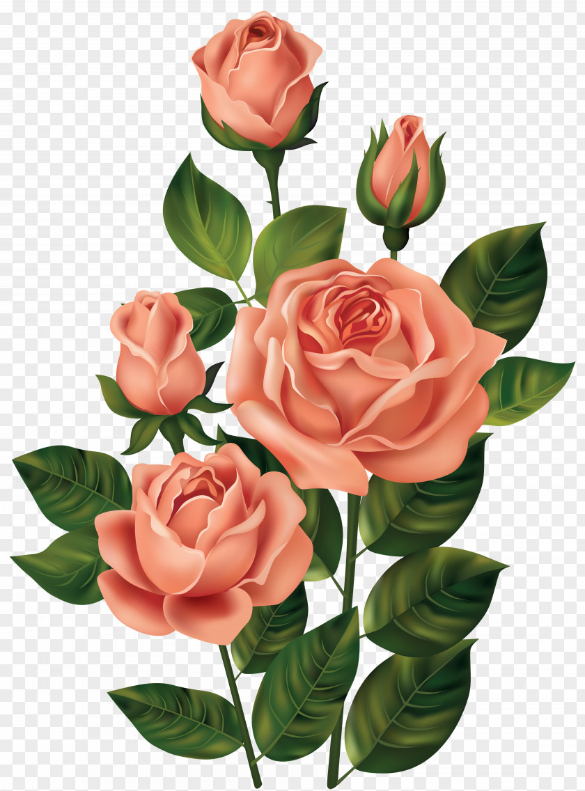 Roses Clipart Image Rose Clip Art PNG