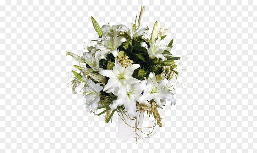 White Lily Alanya Antalya Kemer Floristry Flower PNG