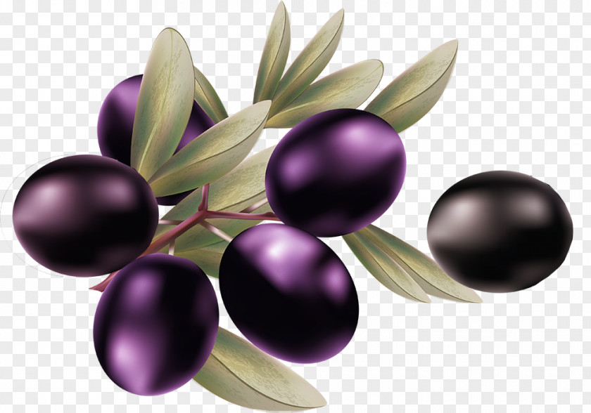 Creative Purple Olive Clip Art PNG