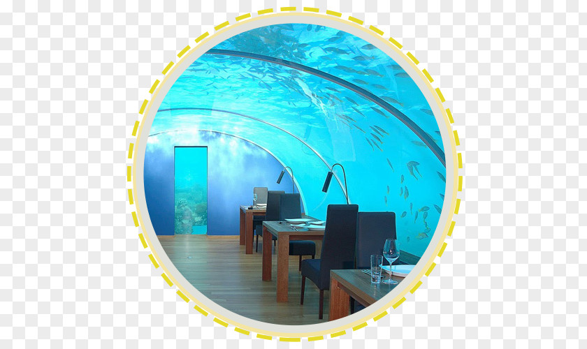 Hotel Ithaa Conrad Maldives Rangali Island Hydropolis Fiji PNG