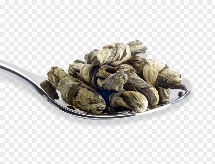 Jasmine Tea Mussel Clam PNG