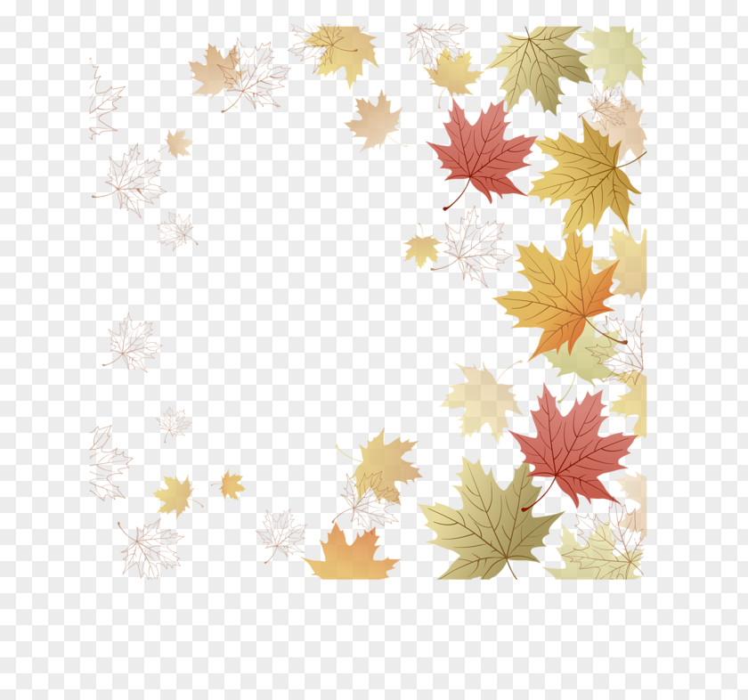 Leaf Paper Maple Japanese Autumn Color PNG