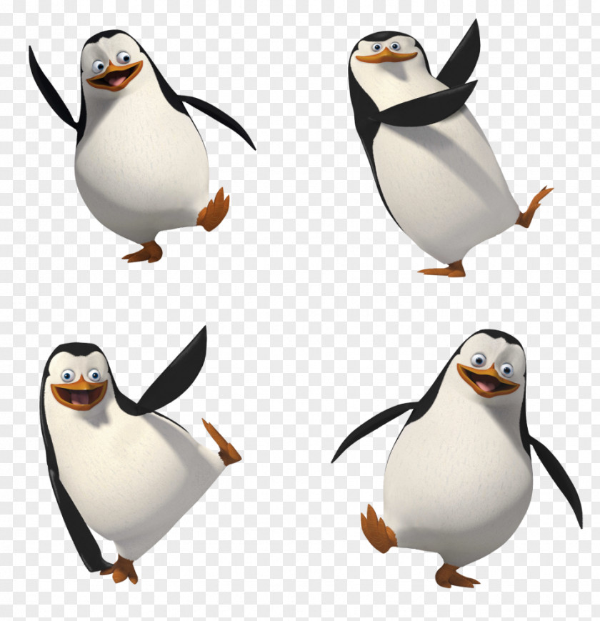 Madagascar Penguins Clip Art PNG