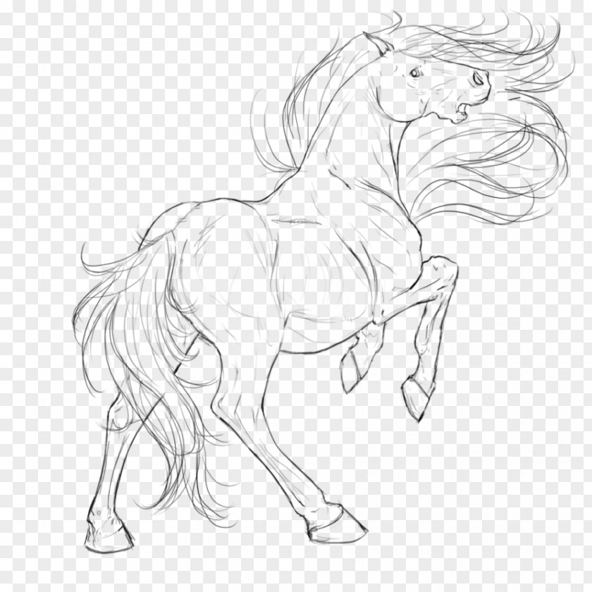 Mustang Mane Pony Halter Sketch PNG
