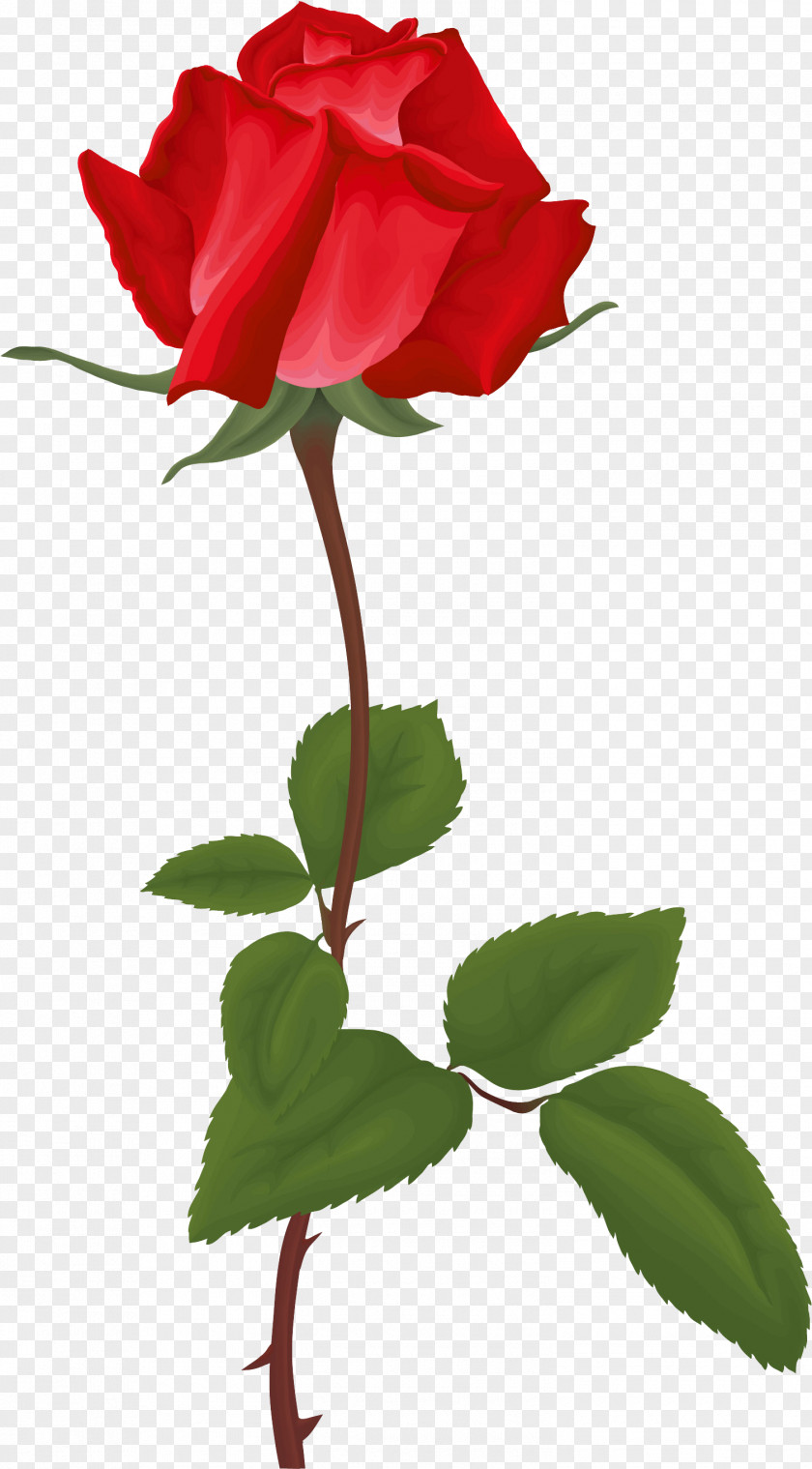 Red Rose Decorative Garden Roses Clip Art PNG