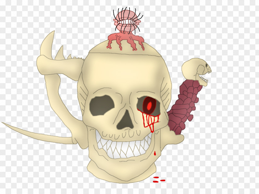 Skull Skeleton Character Cartoon PNG