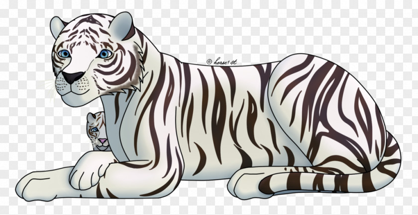 Tiger White Drawing Bengal Sketch PNG