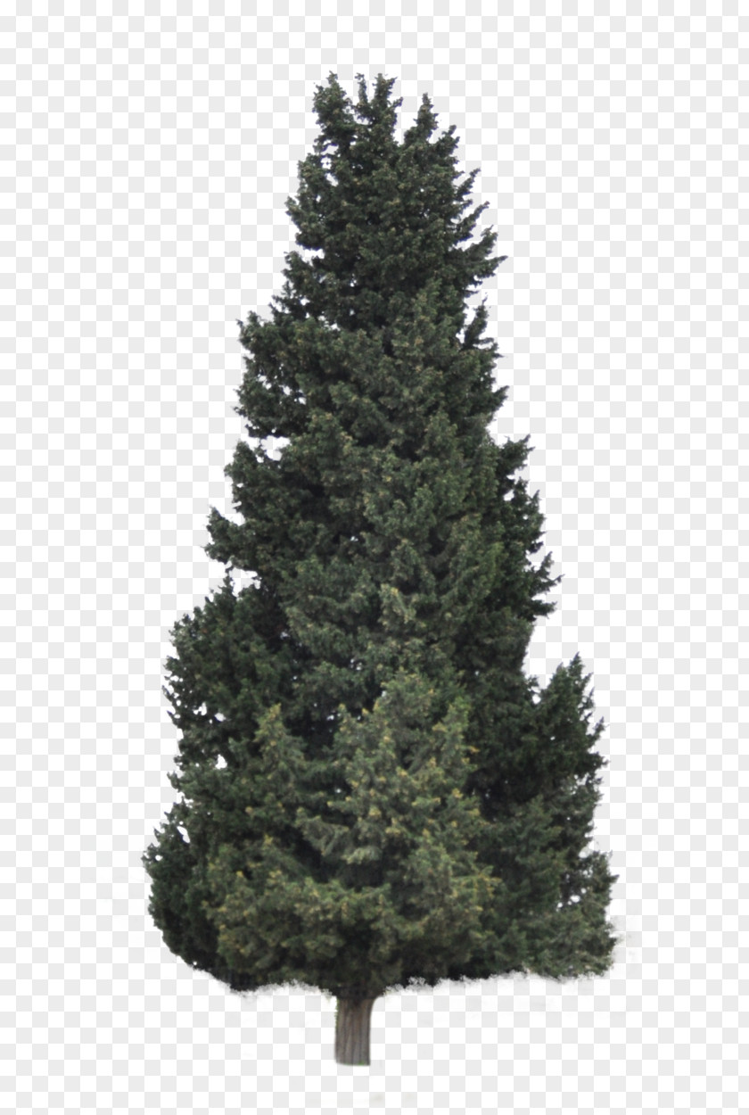 Coniferous Plants Artificial Christmas Tree Pre-lit Santa Claus PNG